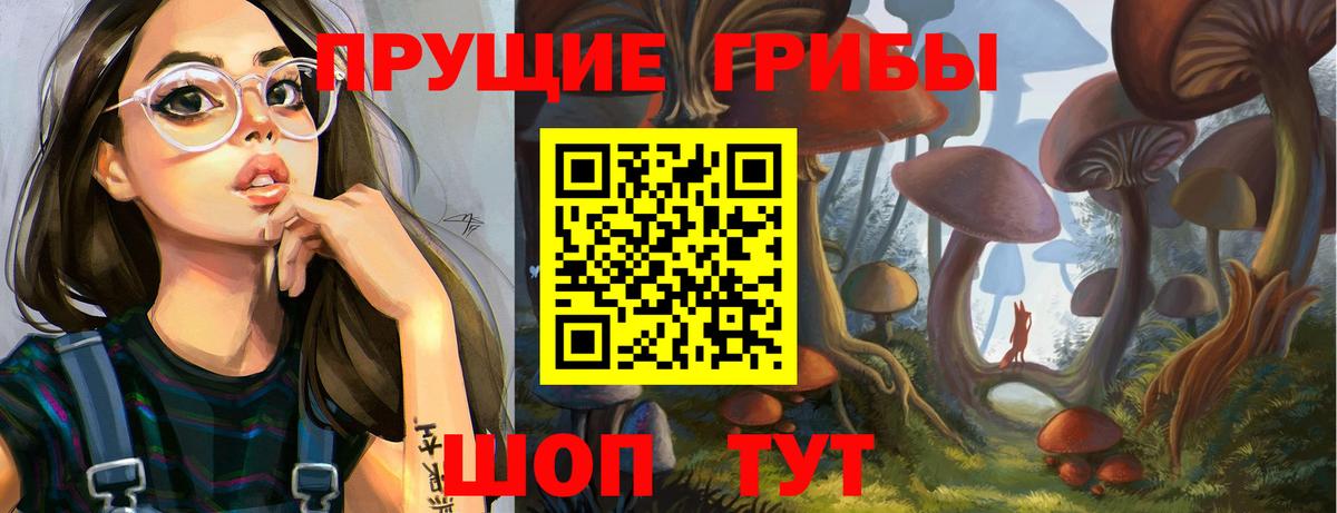 Галлюциногенные грибы Psilocybine cubensis Сатка